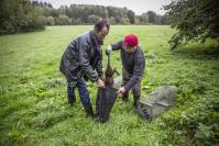 Chasse ragondins lionel le saux