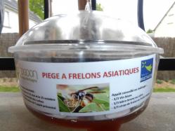 Piège de Frelon Asiatique